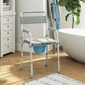 Accessibility Commode Chair (Option: Default title)